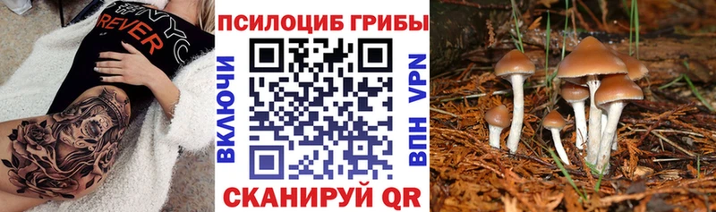 Галлюциногенные грибы прущие грибы  Вытегра 